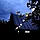 Гирлянда светодиодная "Белт Лайт" Gauss серия Holiday, 10 ламп, 7,7 м, IP44, белый, 1/6, фото 4