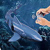 Игрушка на лодке с дистанционным управлением, 2,4 ГГц, детская электрическая радиоуправляемая акула, фото 4
