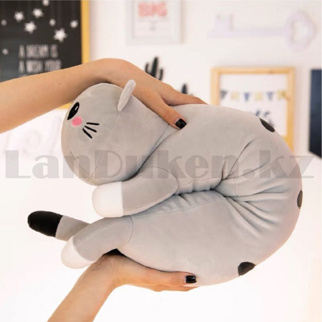 Трусикаларды қарап бітіреді