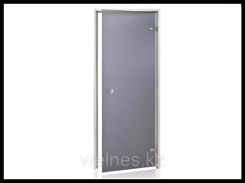 Дверь для хамама Andres Au Gray 7х19 (короб - алюминий, стекло - серое, без порога), фото 1