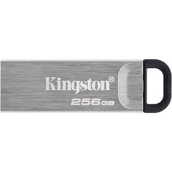 USB-накопитель Kingston DTKN/256GB 256GB Серебристый