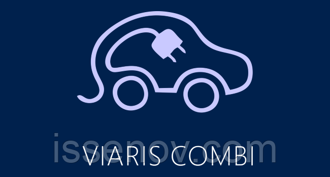 Зарядная станция для электромобилей VIARIS COMBI + 3x230V