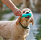 Игрушка-зубочистка для собак Пижон, фото 4