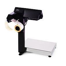 Печатающие весы регистраторы MK 32.2 RP10, фото 2
