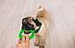 Игрушка для собак Кольцо рельефное, фото 3