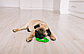 Игрушка для собак Кольцо рельефное, фото 4