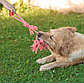 Игрушка канатная с жевательными элементами для собак, фото 5