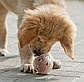 Игрушка для собак Мяч баскетбол-лапки, фото 5