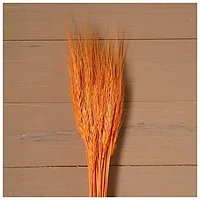 Сухой колос пшеницы, набор 50 шт, цвет жёлто-оранжевый