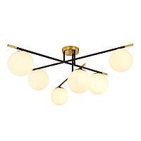 Потолочный светильник Arte Lamp Alcor A2224PL-6BK