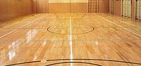 Спортивный паркет
