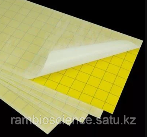 Карточная ловушка yellow sticky traps 25*40 - фото 1 - id-p106685460