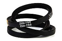 Ремень клиновой Z(O)-750