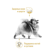 Royal Canin POMERANIAN ADULT для собак породы померанский шпиц, 500гр, фото 2