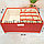 Органайзер для хранения вещей с прозрачной крышкой 33х25х12 см красный в крапинку, фото 2