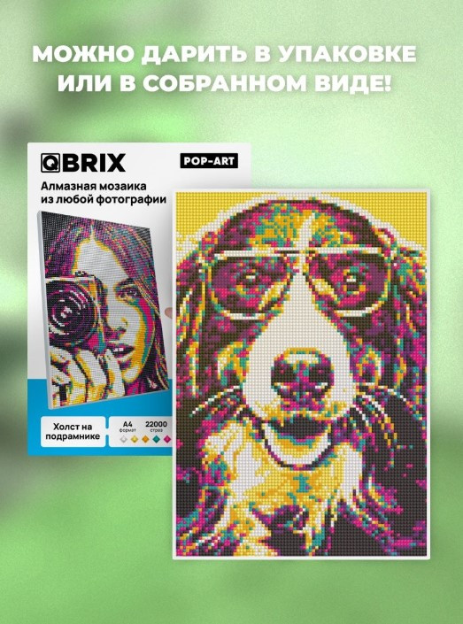QBRIX POP ART фото на подрамнике Алмазная мозаика (A4) - фото 2 - id-p106724014