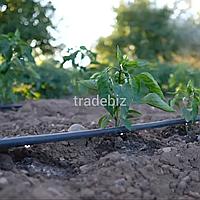 Капельная лента Ø16 с эмиттерами 20см, 1,6л/ч (2000м)