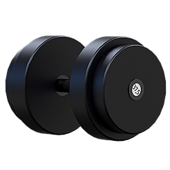 ARMS Гантель профессиональная 37,5кг