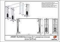 ARMS Биотонус-3+шведская стенка (стек 3х75кг)