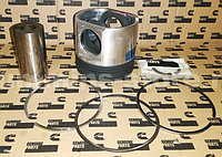 Комплект поршня Камминз / Kit, Engine Piston Cummins 4955348