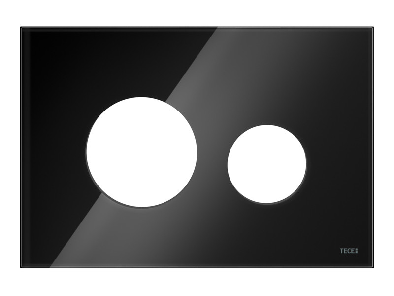 Лицевая панель TECEloop для панели смыва унитаза, черный Alape и Emco - фото 1 - id-p106731684