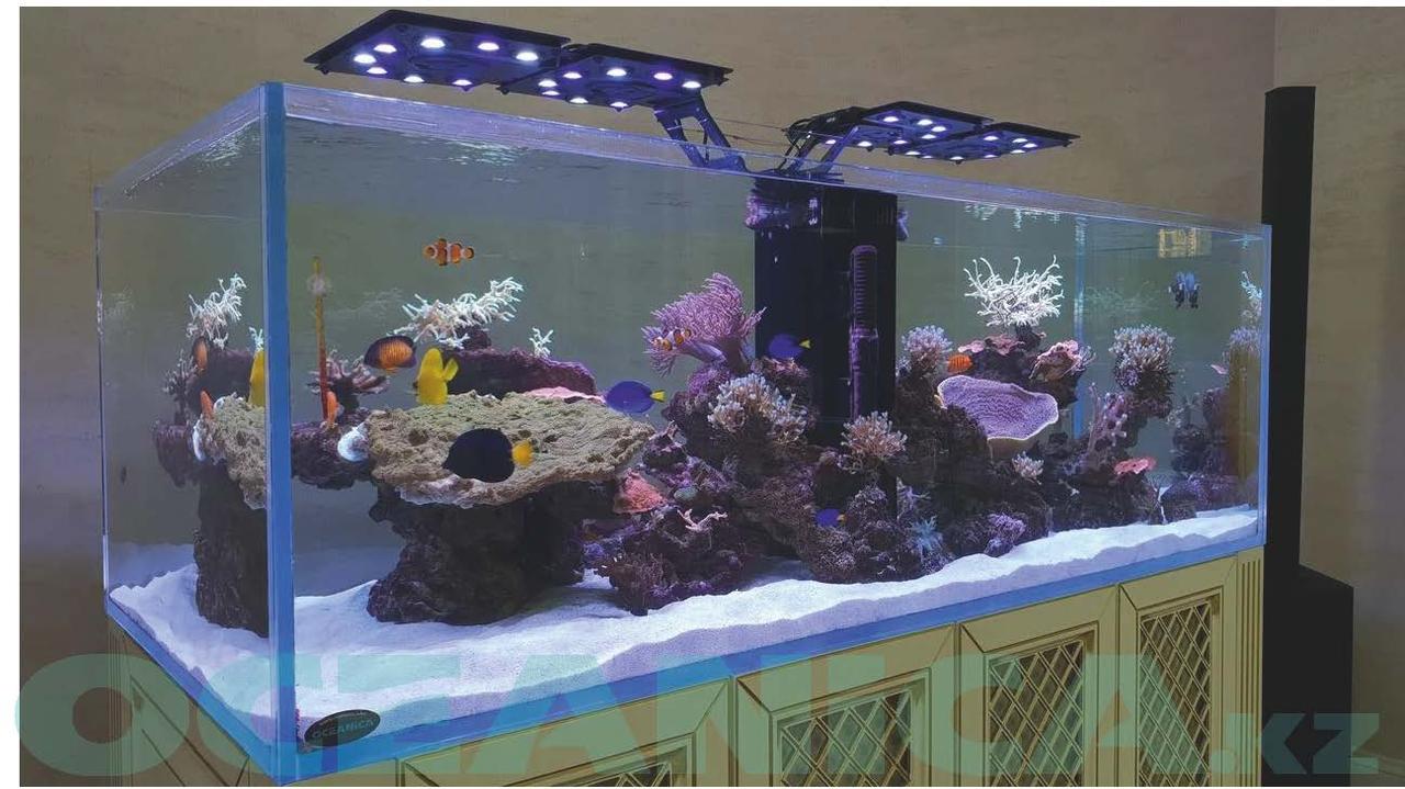 Декорирование аквариумов - фото 3 - id-p106529418