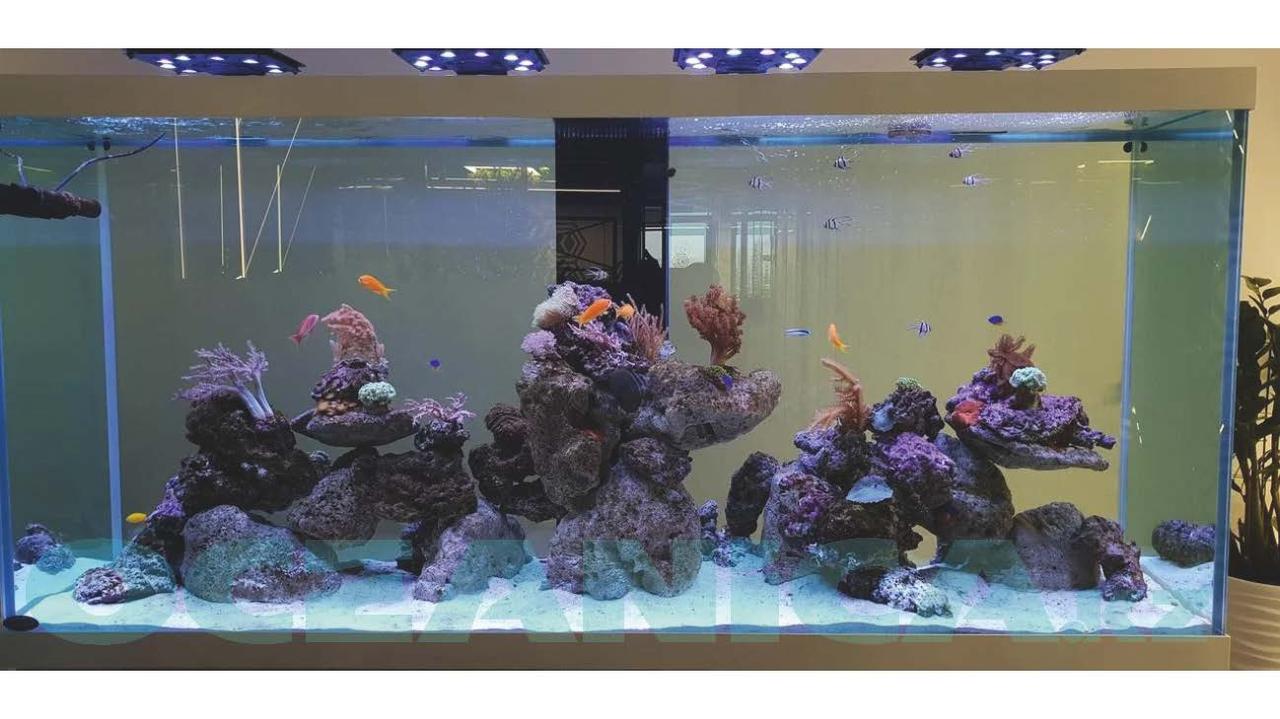 Декорирование аквариумов - фото 6 - id-p106529418