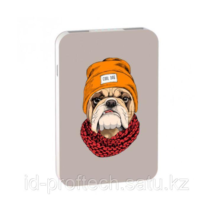 Power bank Ritmix RPB-10007 Bulldog зарядтау құрылғысы - фото 1 - id-p106744783