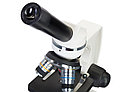 Микроскоп Discovery Femto Polar с книгой, фото 4