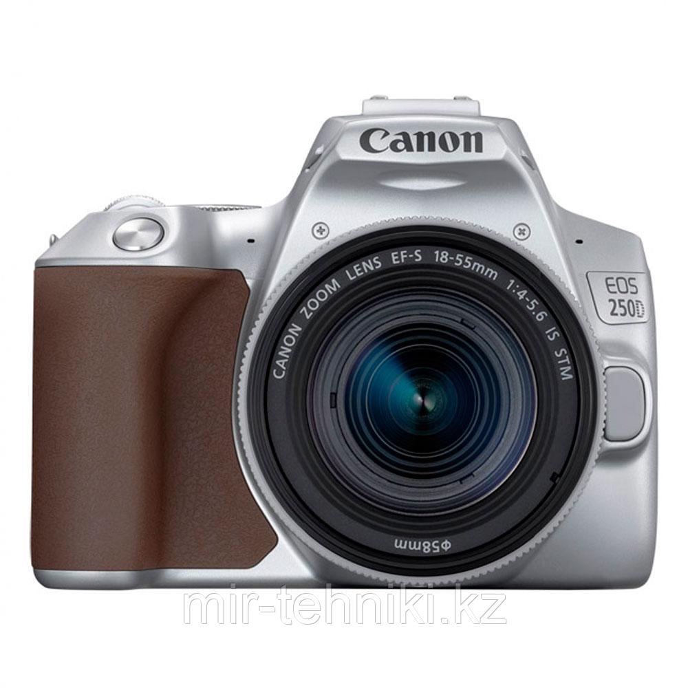 Фотоаппарат Canon EOS 250D Kit EF-S 18-55mm f/4-5.6 IS STM Серебристый - фото 1 - id-p106799078