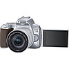 Фотоаппарат Canon EOS 250D Kit EF-S 18-55mm f/4-5.6 IS STM Серебристый, фото 2