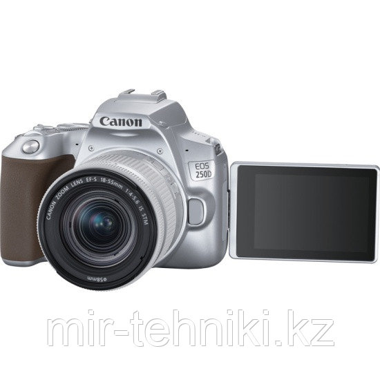 Фотоаппарат Canon EOS 250D Kit EF-S 18-55mm f/4-5.6 IS STM Серебристый (гарантия 2 года) - фото 2 - id-p106799083