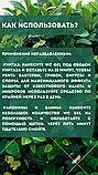 Дезинфицирующее средство для сантехники WC Gel 1л. (Лимонная свежесть), фото 3