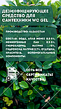 Дезинфицирующее средство для сантехники WC Gel 1л. (Лимонная свежесть), фото 4