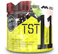 TST Formula 11, 270 g, GYMORTAL Blackcurrant Squash