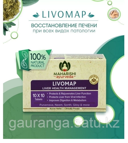Ливомап Махариши / Livomap Maharishi 100 таб - для печени (id 97044885 ...