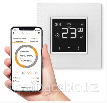 Терморегулятор EcoSmart 25, фото 1