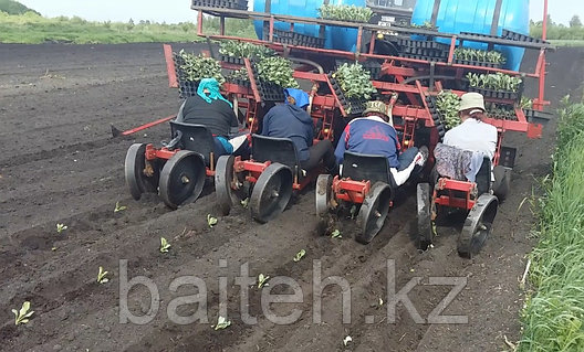 Машина рассадопосадочная для томатов, перцев, капусты МРП, фото 2