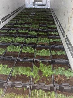 Пикап порно