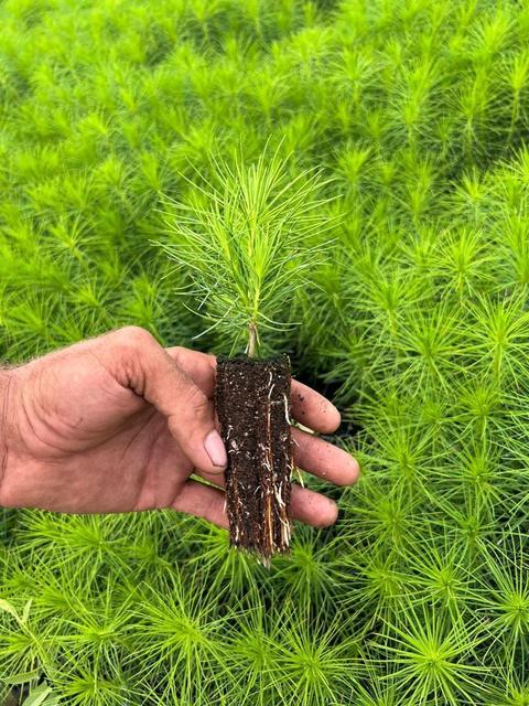 Жасырын отбасылық құпиялар порно смотреть Әдемі анальный секс фото