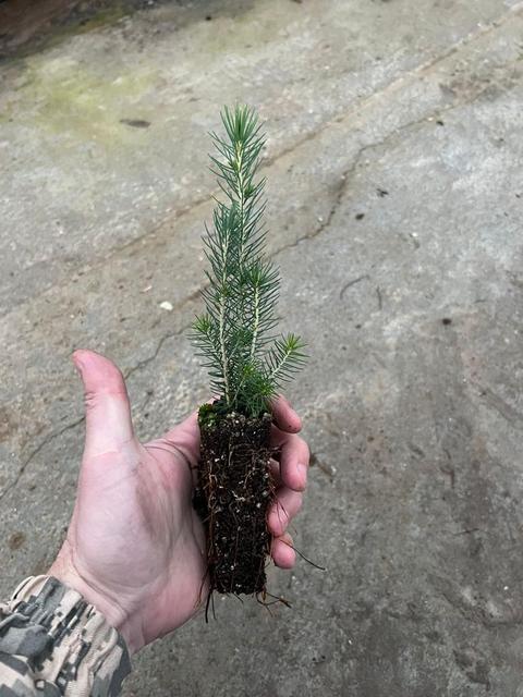 Саратовтағы қос жыныстылардың кездесуі