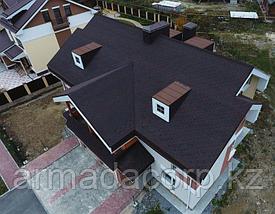Мягкая кровля Docke Premium Генуя Какао, фото 3