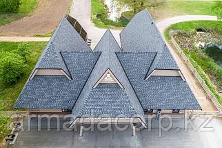 Гибкая черепица Технониколь Shinglas Кантри Мичиган, фото 3