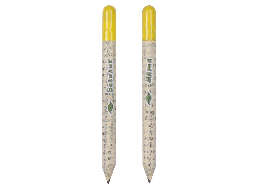 Набор растущих карандашей mini, 2 шт с семенами базилика и мяты - фото 2 - id-p106958279