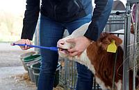 Устройство для введения пилюль Bufferlyt