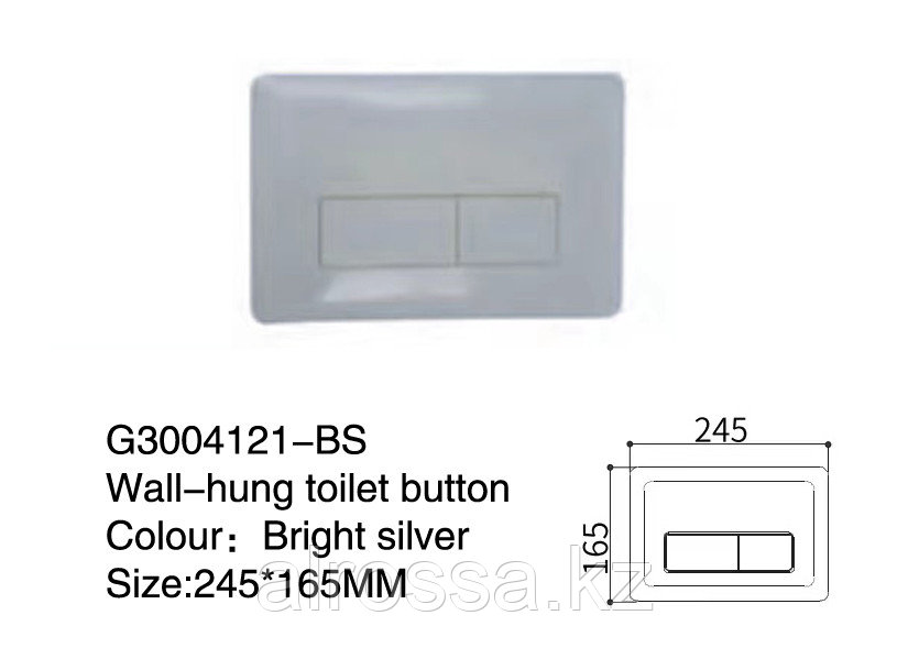 Панель для сливного бачка G3004121-BS, фото 1