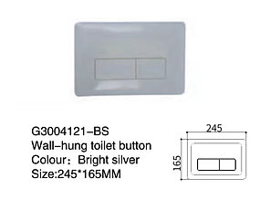 Панель для сливного бачка G3004121-BS