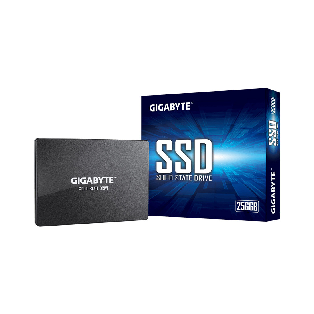 Твердотельный накопитель внутренний Gigabyte GSTFS31256GTND - фото 1 - id-p106980360