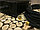 Стекловолоконное освещение Cariitti VPL30C-G229 для полков и спинок в финской сауне (смена цвета, 28+1 точка), фото 4