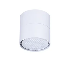 Модель для поверхностного монтажа GreenSpace | DN397C LED12/830 PSU WH WB S GM